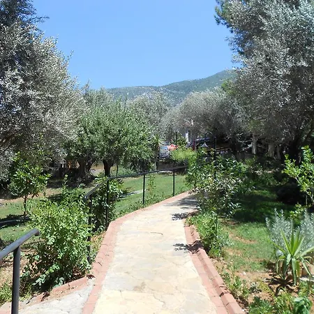 Villa Olive Groove *