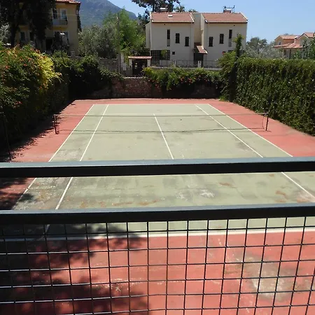 Olive Groove Villa