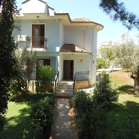 Olive Groove Villa