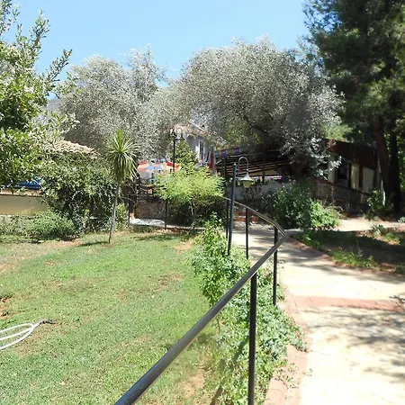 Olive Groove Villa