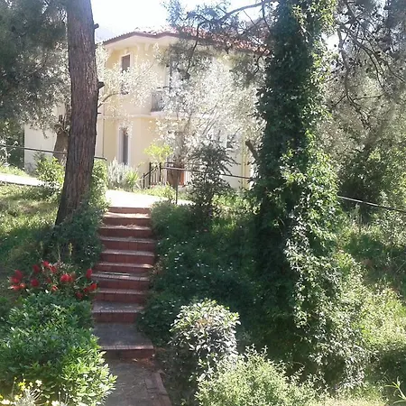 Olive Groove Ölüdeniz