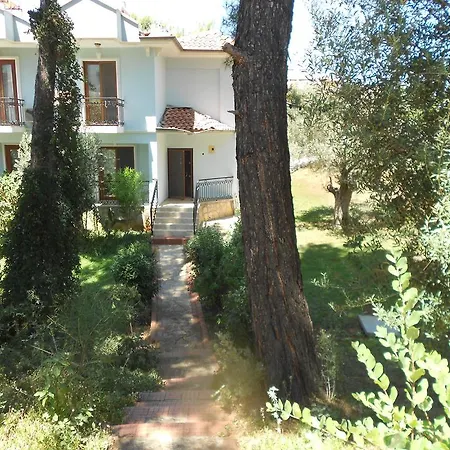 Olive Groove * Ölüdeniz